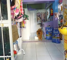 Pet Shop Mimos e Carinhos photo 2