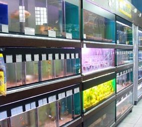 Aquarium Flora & Fauna photo 2