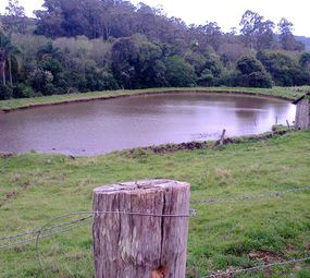 Centro de Reabilitação Morada da Liberdade photo 3