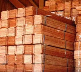 Porto Madeiras photo 2