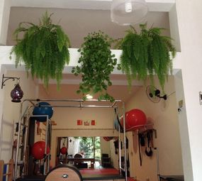 Studio Corpo e Saúde photo 1