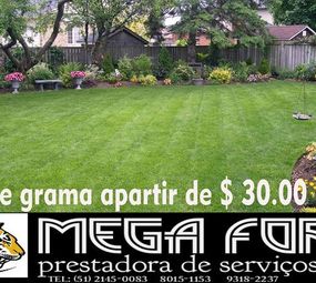 Mega Força Prestação de Serviços - Corte de grama