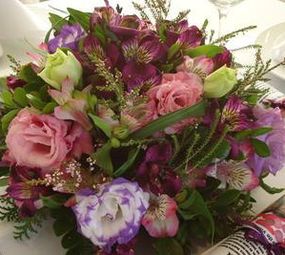 Magnólia Flor e Cultura photo 1