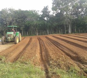 Comunidade Terapêutica Acolher photo 2