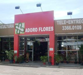 Adoro Flores Floricultura photo 1
