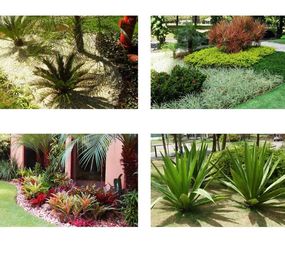 SNA Paisagismo photo 2