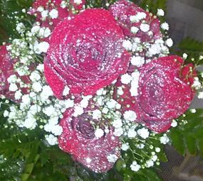 Floricultura Brinco de Princesa