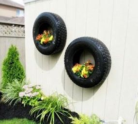 Ademir Mestre em Jardinagem e Paisagem  photo 2