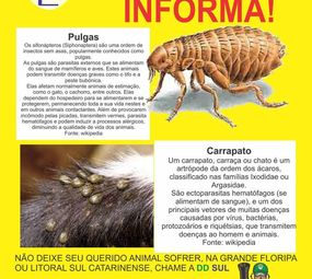 DDSul Dedetizadora photo 2