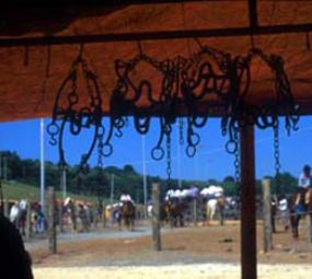 Parque dos Tropeiros photo 2