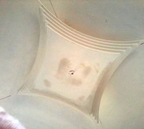 Central Gessos Eduardo Alves