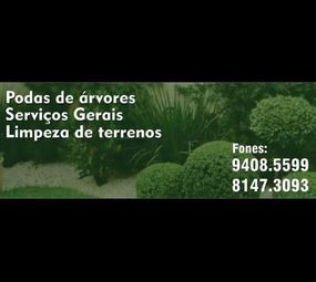 HT Serviços - Podas de Árvores photo 1