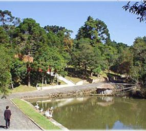 Parque da Barreirinha photo 2