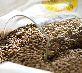 Chopp - Ralf Beer photo 1