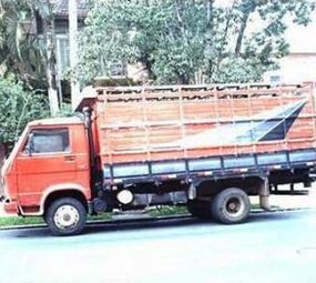 Caminhão Tropeiro - Mudanças Residenciais e Transporte de Animais photo 1