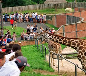 Zoológico do Parque Iguaçu photo 1