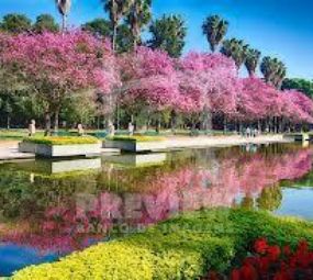 Luz Dourada - Tarô, Reiki e Astrologia photo 2