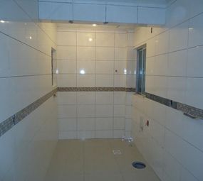 Luciano Azulegista e Reformas em Geral