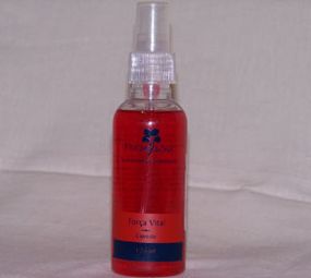 Florais do Sul photo 1