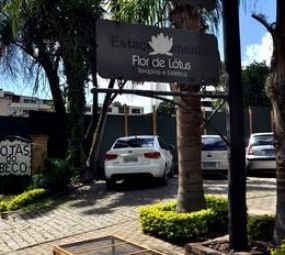 Flor de Lótus photo 1