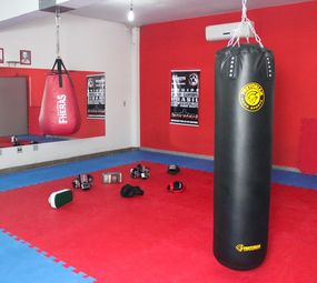 Iron Force Academia photo 2