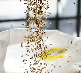 Chopp - Ralf Beer photo 2