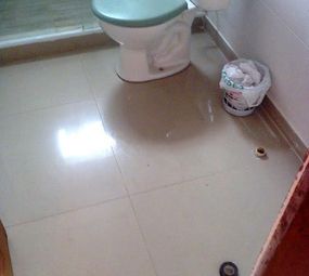 Rafael Reformas em Geral