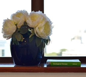 LugarYincomum photo 2