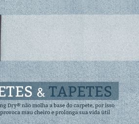 Clean House Sistemas de Higienização