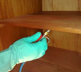 Detiprag Controle de Pragas photo 1