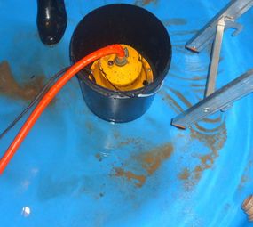 Insetsinos Imunizadora photo 2