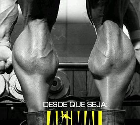 Macaco Suplementos photo 1